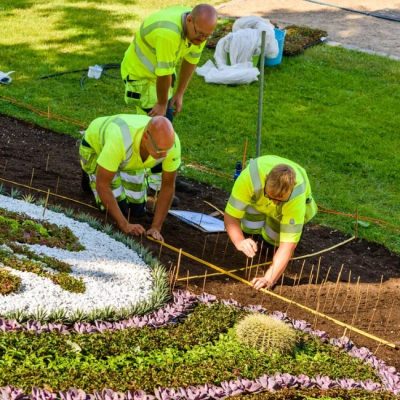 Three workers from a landscaping work company carefully arrange plants and flowers in a garden, ensuring precise alignment and design.