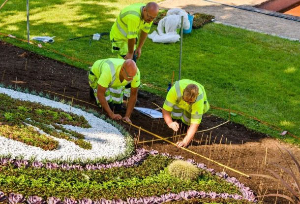 Three workers from a landscaping work company carefully arrange plants and flowers in a garden, ensuring precise alignment and design.