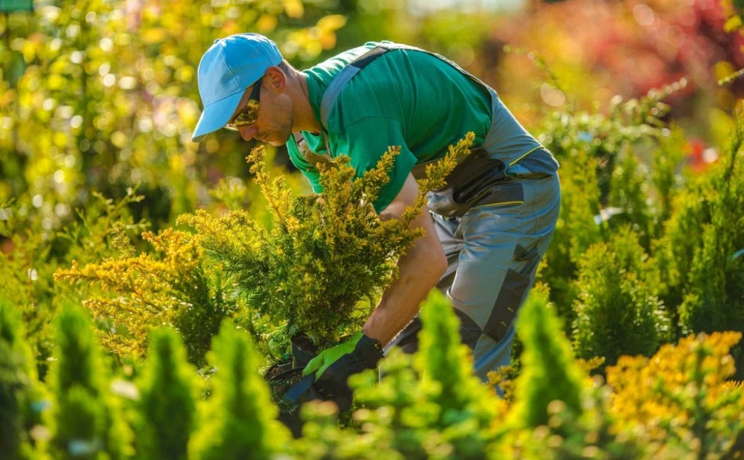 A landscaper carefully plants new greenery in a well-maintained garden, showcasing the precision and care of a professional Landscaping Work Company.