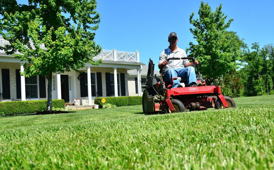 A professional using a riding lawn mower to trim a well-kept yard in front of a house, highlighting expert lawn care and maintenance services.