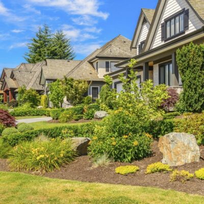 A beautifully maintained residential landscape with lush greenery, trimmed shrubs, and healthy lawns, showcasing the professional work of a Lawn Care Company.