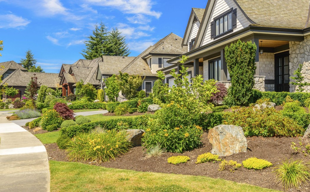 A beautifully maintained residential landscape with lush greenery, trimmed shrubs, and healthy lawns, showcasing the professional work of a Lawn Care Company.