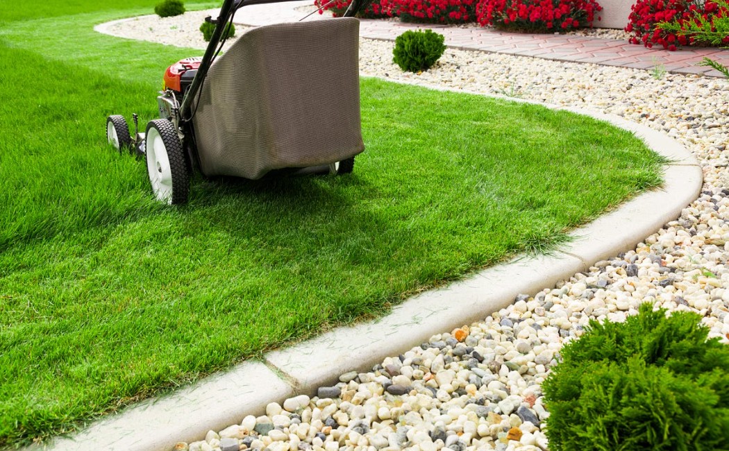 Freshly mowed lawn maintained with landscape repair services, featuring clean edging, healthy grass, and a well-defined garden border.