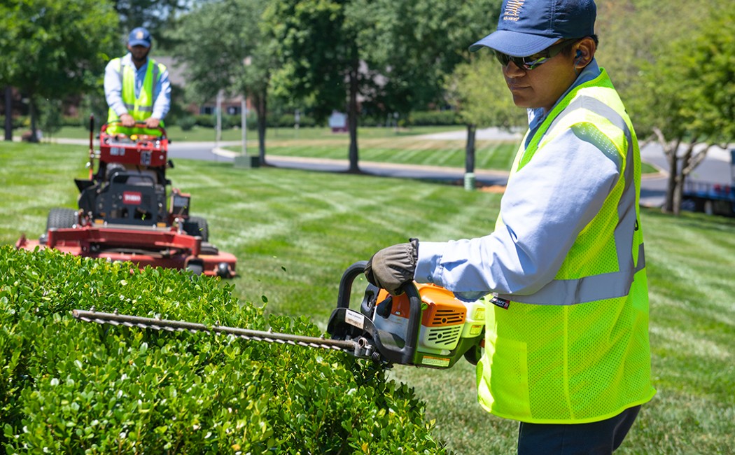 Professionals performing landscape repair services by trimming hedges and mowing lawns to restore a healthy, well-maintained outdoor space