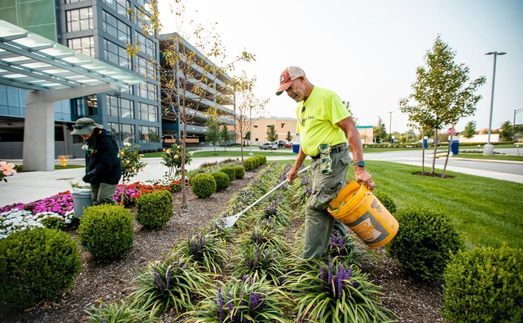 A professional landscaper caring for flower beds and shrubs outside a commercial building, demonstrating expert Landscape Maintenance Services for a clean and attractive outdoor space.
