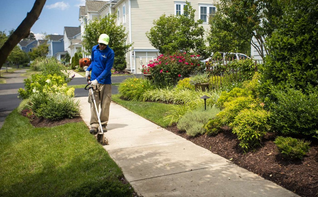 A professional landscaper edging a residential sidewalk and maintaining lush greenery, highlighting reliable Landscape Maintenance Services for a clean and beautiful outdoor space.